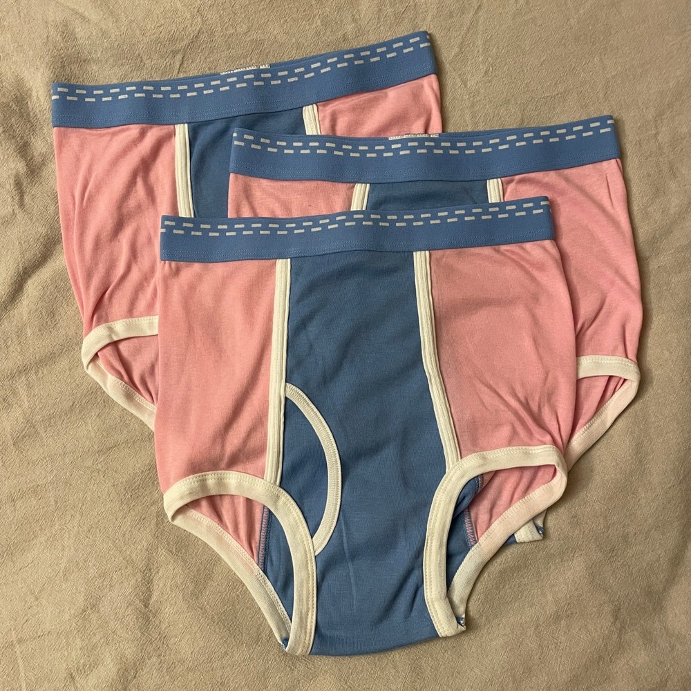 Vintage 3 Pack Tiger Briefs Kids Boys 18-20 Pink Blue Colorblock Underwear NEW